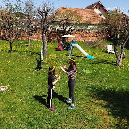 Martha Residence Sibiu Buitenkant foto