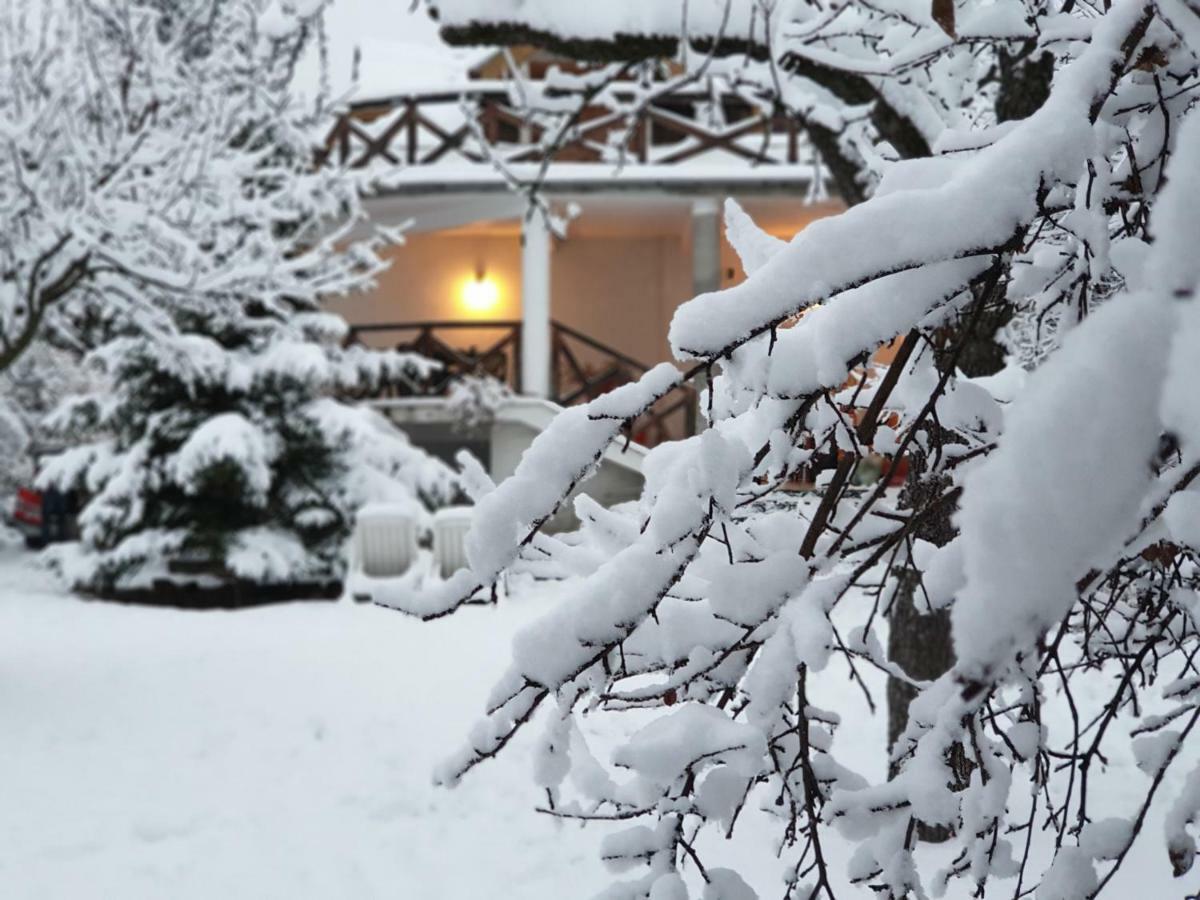 Martha Residence Sibiu Buitenkant foto