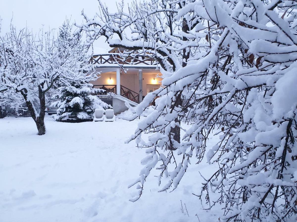 Martha Residence Sibiu Buitenkant foto